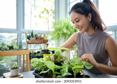 Asian Woman Gardener Spraying Of Water On The Plant In The Garden For Relaxing Day At Home.