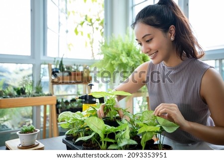 Asian woman Gardener Spraying of water on the plant in the garden for relaxing day at home.