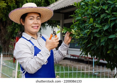 Asian Woman Gardener Is Trimming Bush, Holds Scissors. Spending Time To Relax By Working At Home.Concept : Work With Nature For Good Mental Health. Hobby, Free Time Activity                          