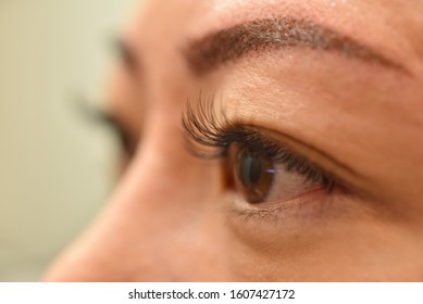 Asian Woman Got Eyelash Extension Service From Skilled Professional Lash Stylist To Enhance Length, Curliness, Fullness, And Thickness Of Natural Eyelashes. Fake Lash Applied One At A Time Using Glue