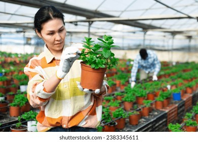 Asian woman grower working in greenhouse, tending plants. - Powered by Shutterstock