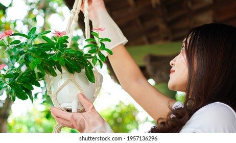 Asian Woman Hanging Plants At Home Make Beautiful Decoration