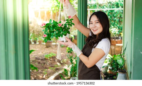 Asian Woman Hanging Plants At Home Make Beautiful Decoration