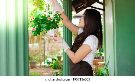 Asian Woman Hanging Plants At Home Make Beautiful Decoration