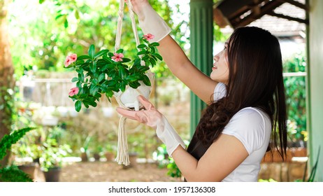 Asian Woman Hanging Plants At Home Make Beautiful Decoration