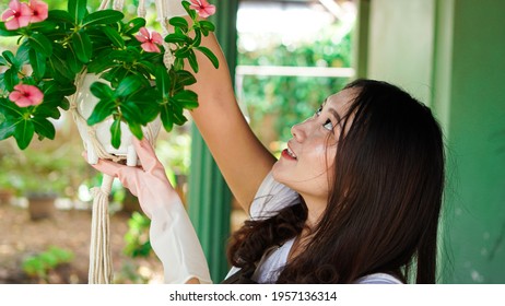 Asian Woman Hanging Plants At Home Make Beautiful Decoration