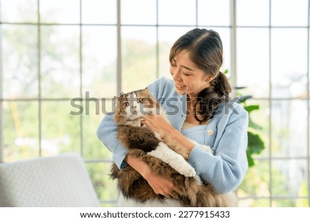Asian woman hold and teasing fluffy cat while cat look at camera and woman look happiness to stay and enjoy with her pet.