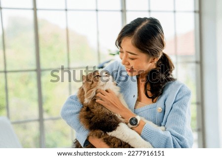 Asian woman hold and teasing fluffy cat while cat look relax and enjoy and woman look happiness to stay and enjoy with her pet.