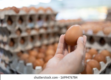 Asian Woman Is Holding A Chicken Egg In Hand,girl Choose,buying Fresh Chicken Eggs,hoarding,food Raise In Price During The Shortage,pandemic Of Covid-19,effect Of The Coronavirus Make Eggs Expensive