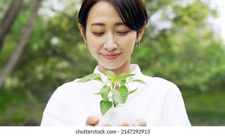 Asian Woman Holding A Little Plant. Environment Concept. Childcare. Sustainable Lifestyle.