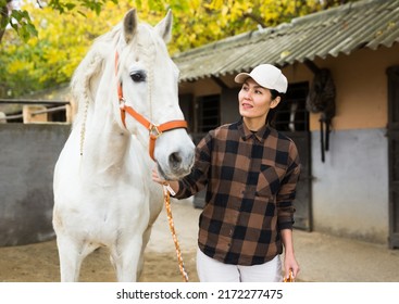 Asian woman horse breeder leading white horse through paddock.