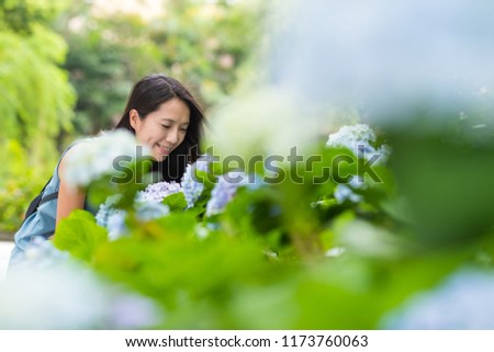 Asian Woman look at Hydrangea flower in the garden