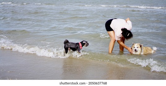 Asian Woman On The Beach With Her Senior Dog By Her Side With Ocean Background Outdoor