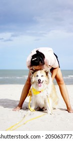 Asian Woman On The Beach With Her Senior Dog By Her Side With Ocean Background Outdoor