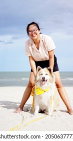 Asian Woman On The Beach With Her Senior Dog By Her Side With Ocean Background Outdoor