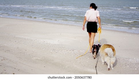 Asian Woman On The Beach With Her Senior Dog By Her Side With Ocean Background Outdoor