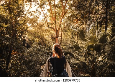 Asian Woman on the canopy walk (tree top walk), new activity for travel in the forest by walking across the long wooden bridge in Chiang rai, north of thailand - Powered by Shutterstock