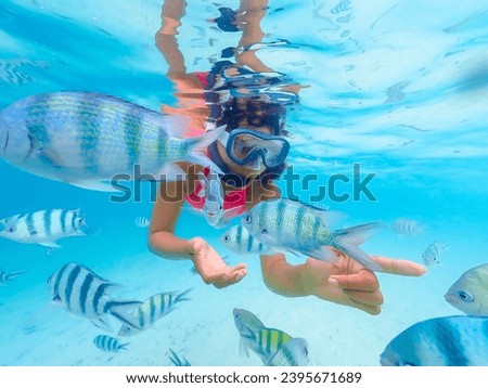 Asian woman on a snorkeling trip at Samaesan Thailand. dive underwater with fishes in the coral reef sea pool. Travel lifestyle, watersport adventure, swim activity on a summer beach holiday 