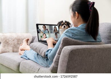 Asian Woman On Sofa And Team On Laptop Screen Talking And Discussion In Video Conference And Dog Interruption.Working From Home, Working Remotely, Pets Interruption And Self-isolation.