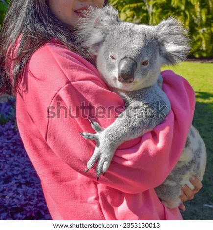 Asian woman pink shirt hugging koala in forest and green plant beautiful blurred background at outdoor zoo concept of animal with people, Coexistence of humans and animals.