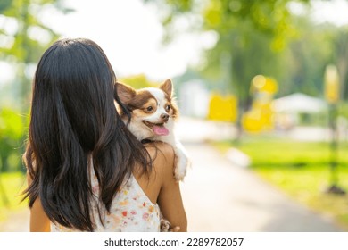 Asian woman playing with chihuahua dog at pets friendly dog park. Domestic dog with owner enjoy urban outdoor lifestyle in the city on summer vacation. Pet Humanization and urban pet parents concept. - Powered by Shutterstock