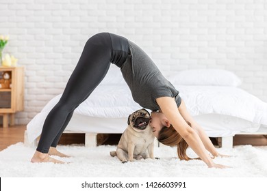Asian woman practice yoga Downward Facing dog to meditation and kissing her dog pug breed enjoy and relax with yoga. Spending time and playing with dog at home. Recreation love with Dog Concept - Shutterstock ID 1426603991