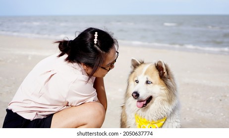 Asian Woman Sitting On The Beach With Her Senior Dog By Her Side With Ocean Background Outdoor                               