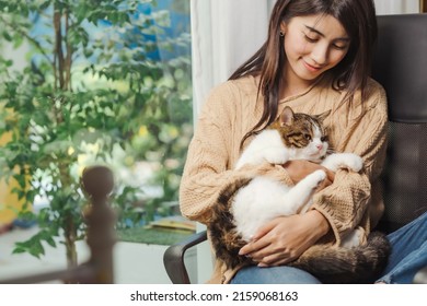 An asian woman sitting on chair, holding cute fluffy cat in her arm looking at him with smile of love feelling. Cat in human hug with reflexible body. - Powered by Shutterstock