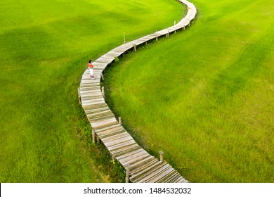 Asian woman traveler walking at white wooden bridge in rice fields. - Powered by Shutterstock