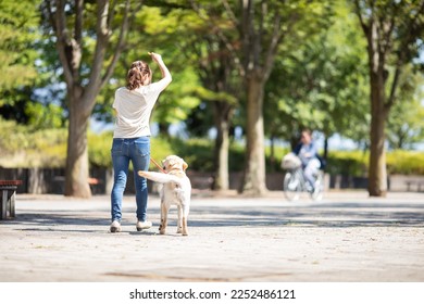 Asian woman walking the dog