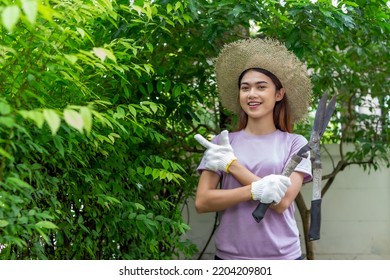 Asian Woman Wear Hat Pruning Bushes With Big Garden Scissors.