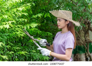 Asian Woman Wear Hat Pruning Bushes With Big Garden Scissors.