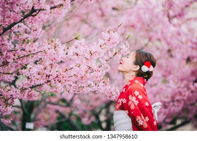 Asian Woman Wearing Kimono With Cherry Blossoms,sakura In Japan.