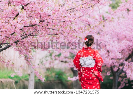 Asian woman wearing kimono with cherry blossoms,sakura in Japan.
