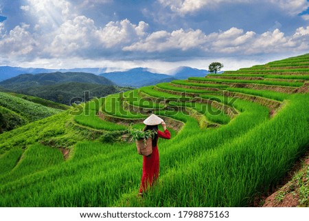 Image, Stock Photo View of traditional thailand longtail boat at sand beach