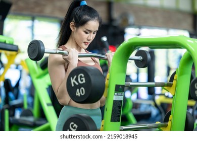 Asian woman weightlifter preparing for training, Asian woman workout weightlifting in weight training fitness gym, sport exercise and muscular build, Healthy lifestyle.