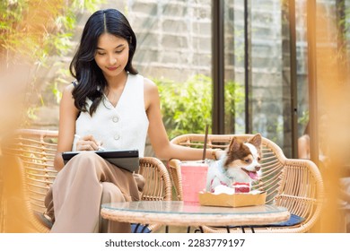 Asian woman working on digital tablet with chihuahua dog at pets friendly cafe. Domestic dog with owner enjoy urban outdoor lifestyle on summer vacation. Pet parents and work from anywhere concept. - Powered by Shutterstock