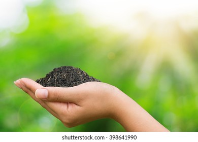 Asian Woman's Hands Holding Soil For Planting With A Green Bokeh Background. Concept Eart Day, Save Earth.