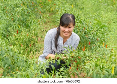 Asian Women Happy In Pepper Plant.