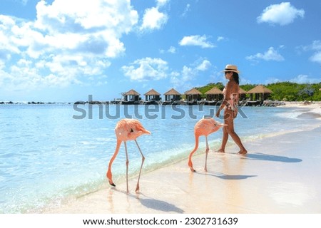 Asian women on the beach with pink flamingos at Aruba, flamingo at the beach in Aruba Island Caribbean.