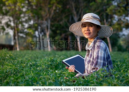 Asian women in organic chilli field