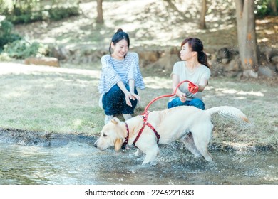 Asian women walking the dog - Powered by Shutterstock