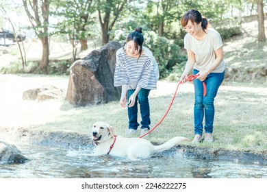 Asian women walking the dog - Powered by Shutterstock