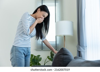 Asian Young Beautiful Woman Housewife Cleaning Living Room In House. Attractive Woman Housekeeper Cleaner Feeling Frustrated While Wiping Messy Dirty Sofa For Housekeeping Housework Or Chores At Home.