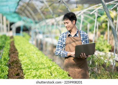 Asian Young Farm Worker Noting Progress of Living Lettuce Growth - Powered by Shutterstock