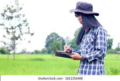 Asian Young Farmer Using Tablet At Rice Field. Farmers Use Technology