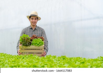 asian young friendly man farmer smiling and holding organic hydroponic fresh green vegetables produce wooden box together in greenhouse garden nursery farm, business farmer and healthy food concept