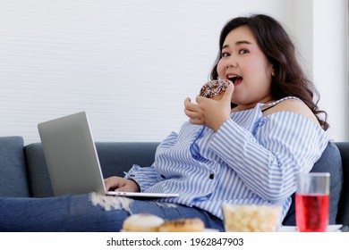 Asian young happy beautiful fat female shopper sit relaxing on fabric sofa look at camera using laptop computer searching products shopping online while eating delicious chocolate donut in hand.
