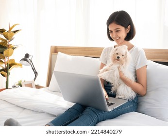 Asian Young Lady Work At Home With Holding White Puppy Maltese Dog On Her Bed In The Morning At Minimal Home