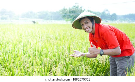 asian young man, farmer man, smile at rice field